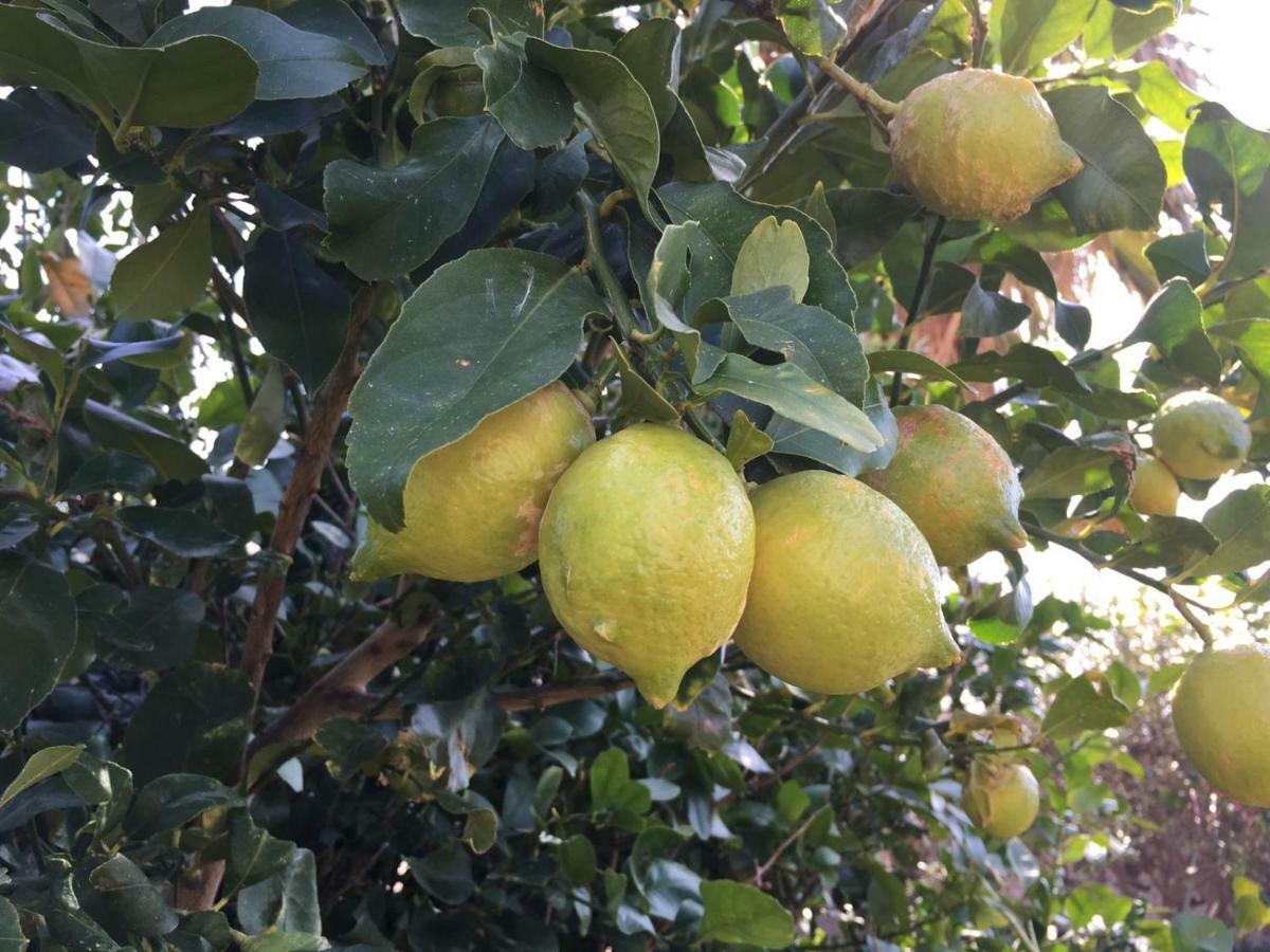 Villa Amore Lipari  Eksteriør billede